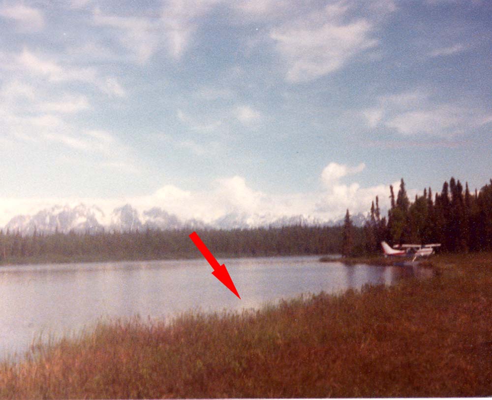 pic e